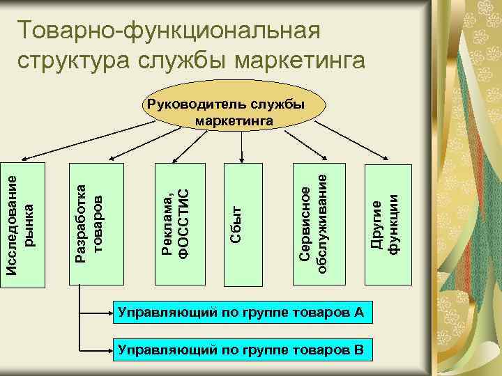 Товарно-функциональная структура службы маркетинга Управляющий по группе товаров А Управляющий по группе товаров В