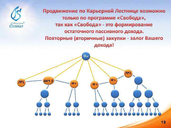 Вы ЛР 2 ЛР 1 АКЧ 3 ЛР 4 ЛР 5 ЛР 6 19