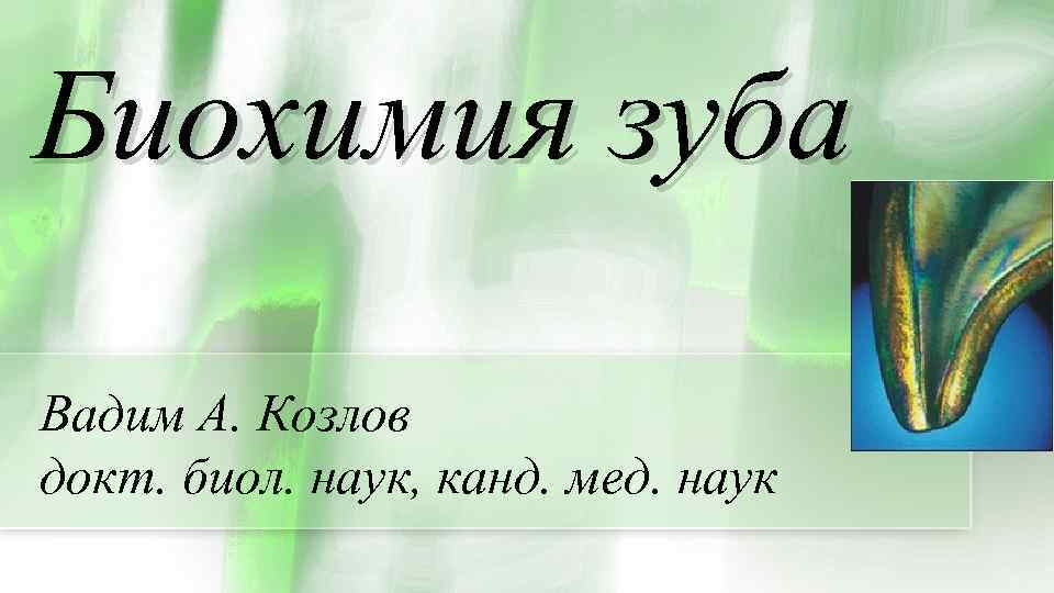 Биохимия зуба Вадим А. Козлов докт. биол. наук, канд. мед. наук 