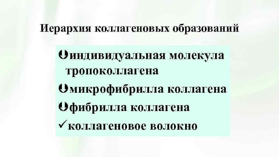 Иерархия коллагеновых образований Þиндивидуальная молекула тропоколлагена Þмикрофибрилла коллагена Þфибрилла коллагена üколлагеновое волокно 