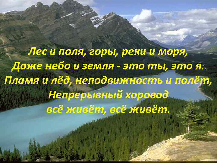 Лес и поля, горы, реки и моря, Даже небо и земля - это ты,