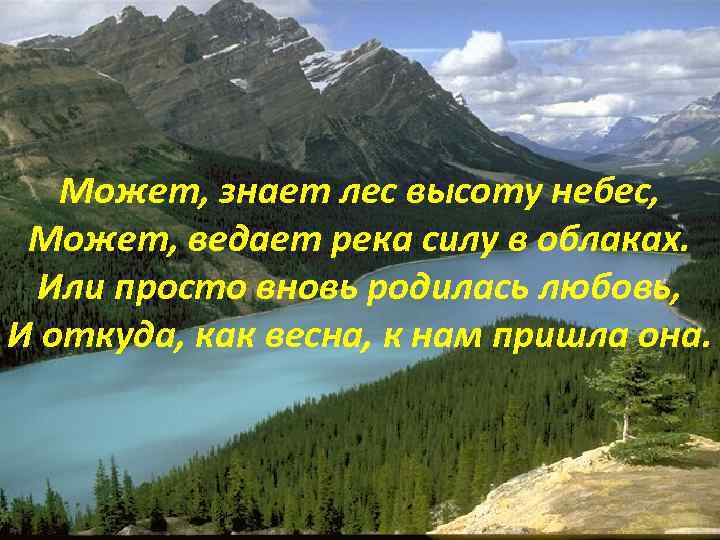 Может, знает лес высоту небес, Может, ведает река силу в облаках. Или просто вновь