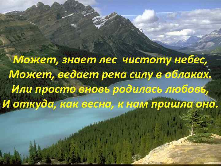 Может, знает лес чистоту небес, Может, ведает река силу в облаках. Или просто вновь