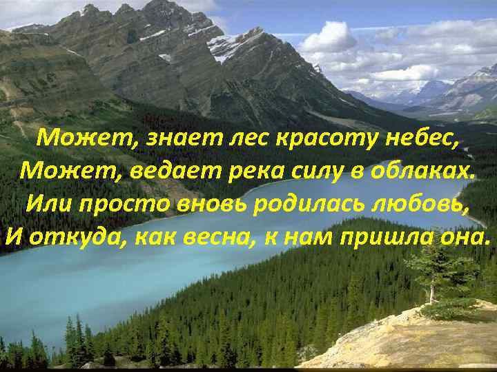 Может, знает лес красоту небес, Может, ведает река силу в облаках. Или просто вновь