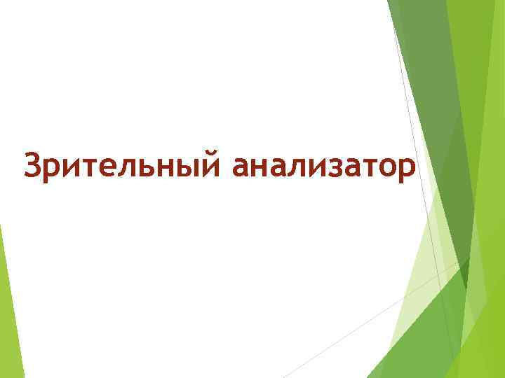 Зрительный анализатор 