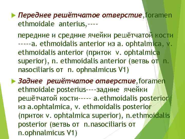  Переднее решётчатое отверстие, foramen ethmoidale anterius, ---передние и средние ячейки решётчатой кости -----a.