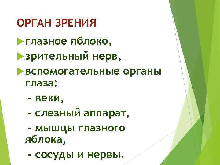 ОРГАН ЗРЕНИЯ глазное яблоко, зрительный нерв, вспомогательные органы глаза: - веки, - слезный аппарат,