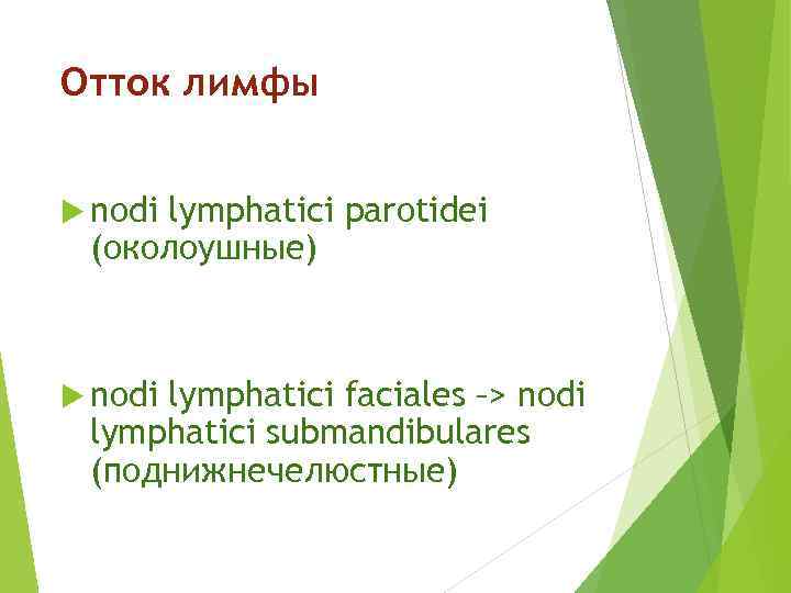 Отток лимфы nodi lymphatici parotidei (околоушные) nodi lymphatici faciales –> nodi lymphatici submandibulares (поднижнечелюстные)