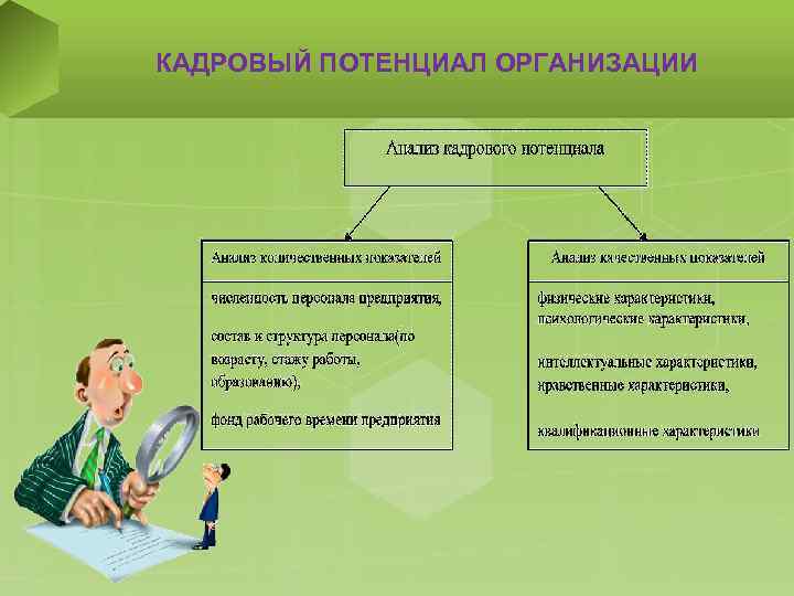 Кадровый потенциал предприятия это