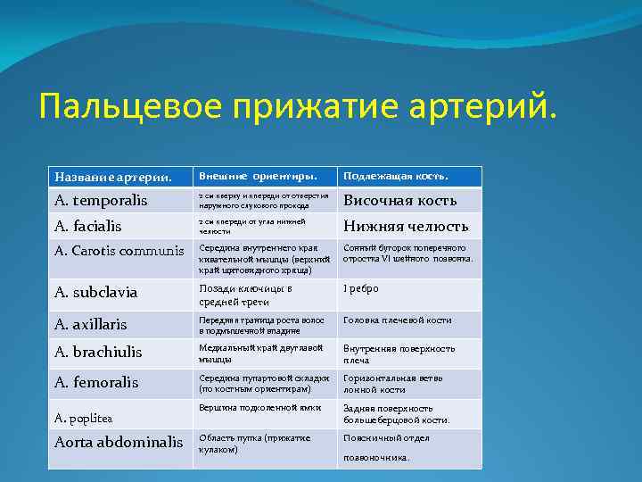 Пальцевое прижатие артерий. Название артерии. Внешние ориентиры. Подлежащая кость. A. temporalis 2 см кверху