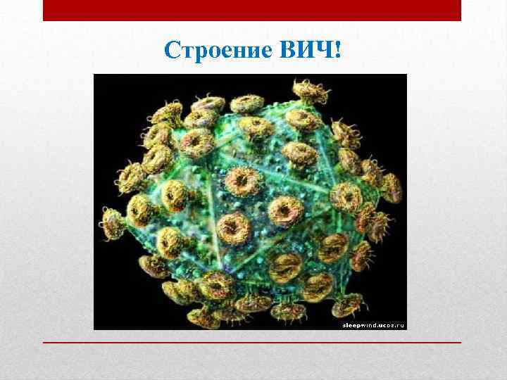Строение ВИЧ! 