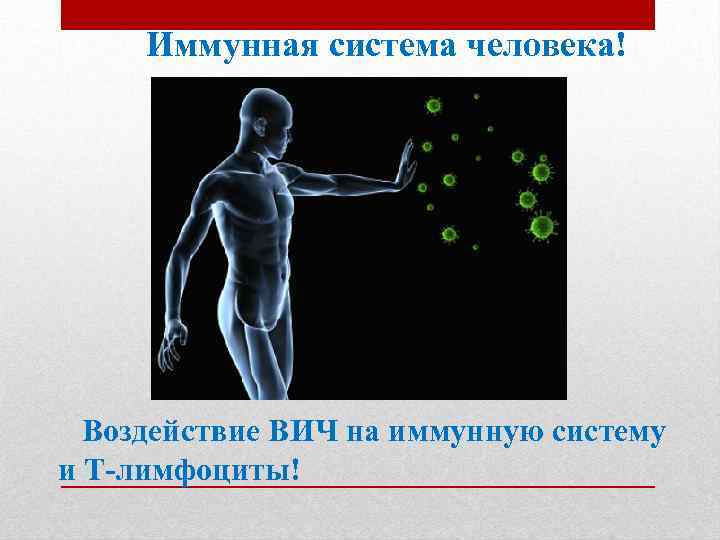 Иммунная система человека! Воздействие ВИЧ на иммунную систему и Т-лимфоциты! 