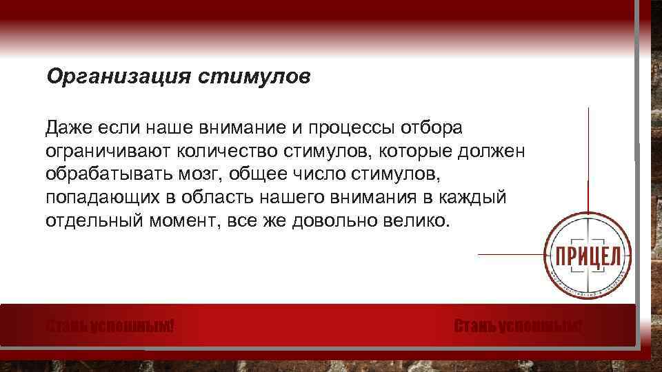 Организация стимулов Даже если наше внимание и процессы отбора ограничивают количество стимулов, которые должен