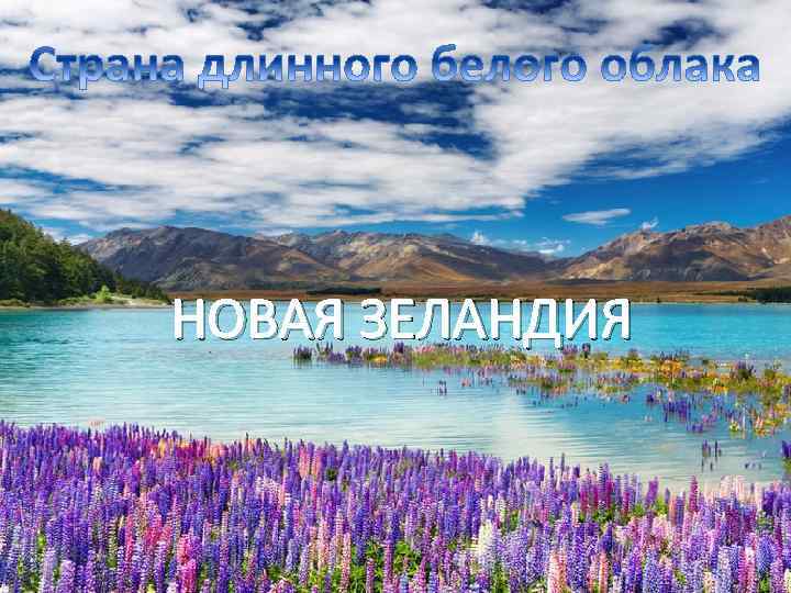 НОВАЯ ЗЕЛАНДИЯ 