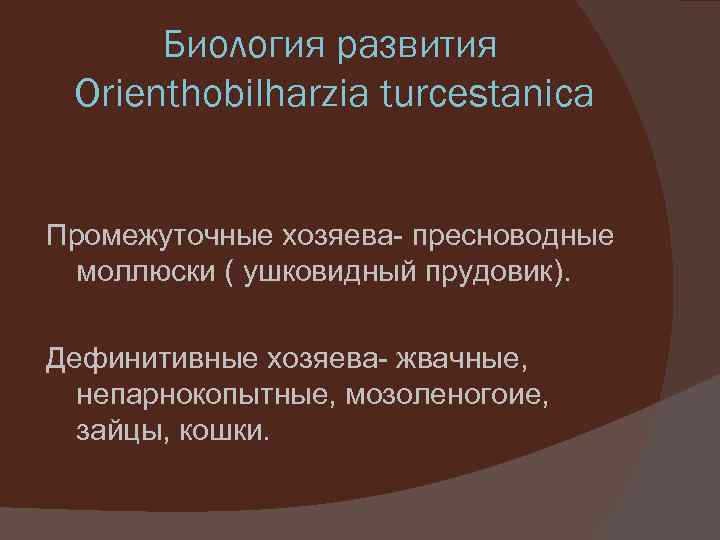 Биология развития Orienthobilharzia turcestanica Промежуточные хозяева- пресноводные моллюски ( ушковидный прудовик). Дефинитивные хозяева- жвачные,