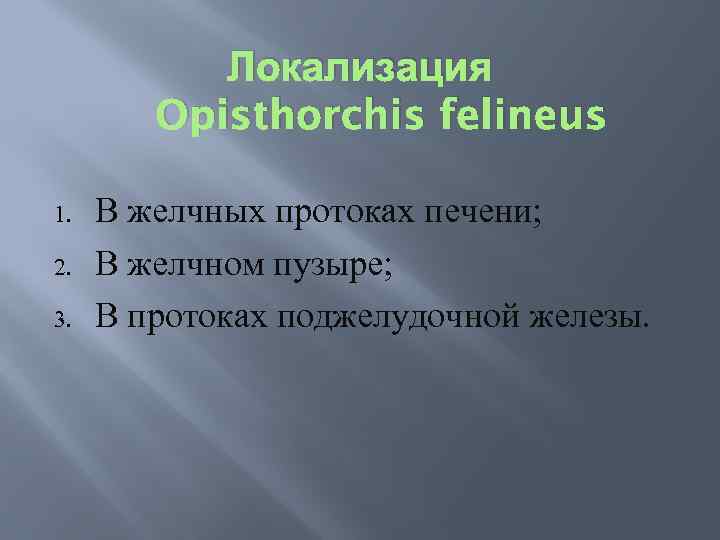 Локализация Opisthorchis felineus 1. 2. 3. В желчных протоках печени; В желчном пузыре; В