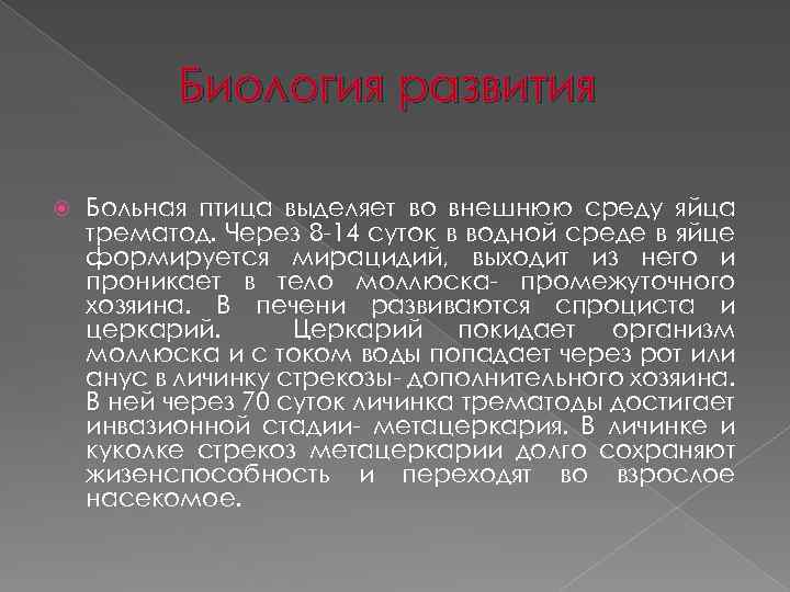 Биология развития Больная птица выделяет во внешнюю среду яйца трематод. Через 8 -14 суток