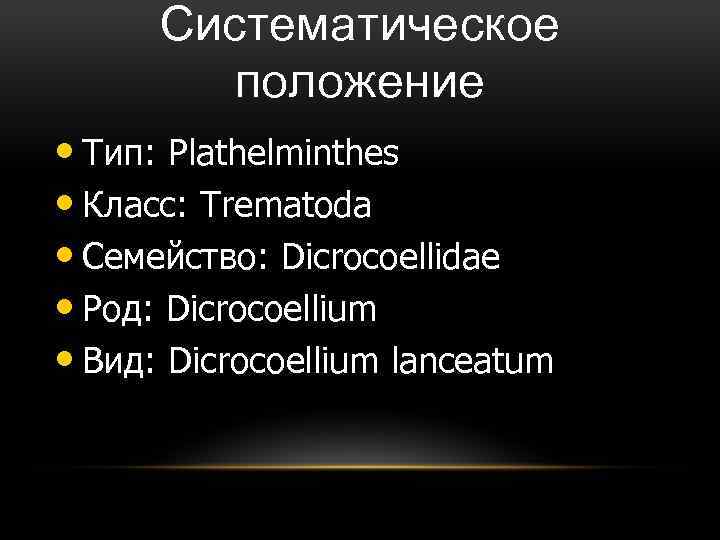 Систематическое положение • Тип: Plathelminthes • Класс: Trematoda • Семейство: Dicrocoellidae • Род: Dicrocoellium