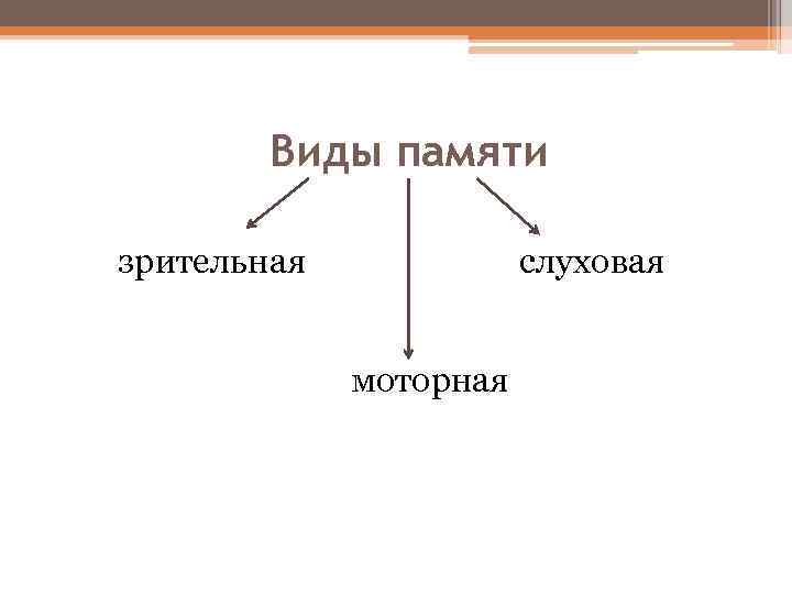 Виды памяти зрительная слуховая моторная 