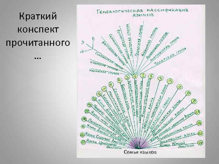 Краткий конспект прочитанного … Семьи языков 