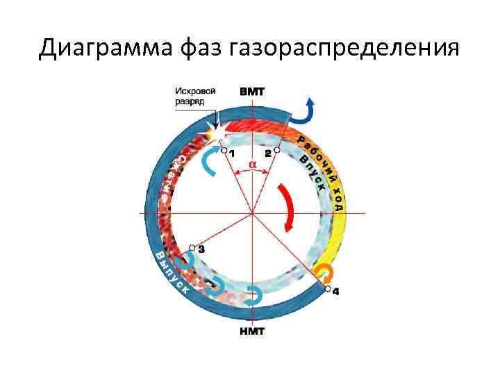 Схема фаз газораспределения