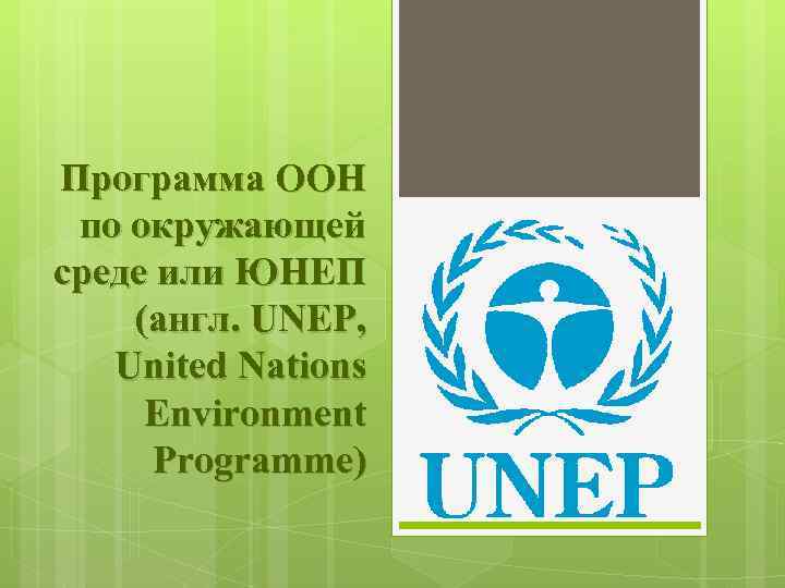Оон природа. Программа ООН по окружающей среде (ЮНЕП). Организация Объединённых наций программа ЮНЕП. Структура ЮНЕП ООН. ООН организации по охране окружающей среды.