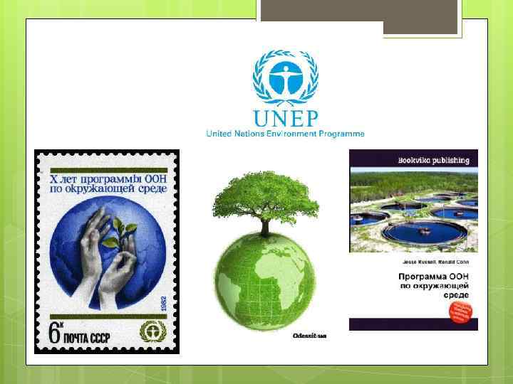 Охрана оон. Программа организации Объединенных наций по окружающей среде. Программа ООН по окружающей среде (ЮНЕП). Проекты ЮНЕП. ООН по экологии.