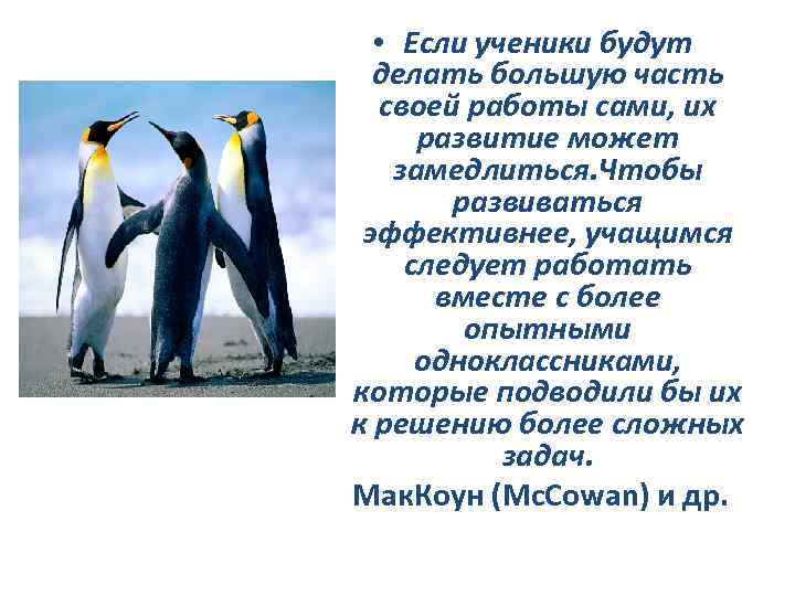  • Если ученики будут делать большую часть своей работы сами, их развитие может