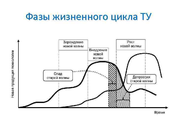 Фазы жизненного цикла ТУ 