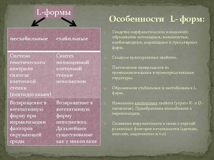 L-формы Особенности L- форм: 1. Синтез полноценной клеточной стенки невозможен Возвращение в вегетативную форму