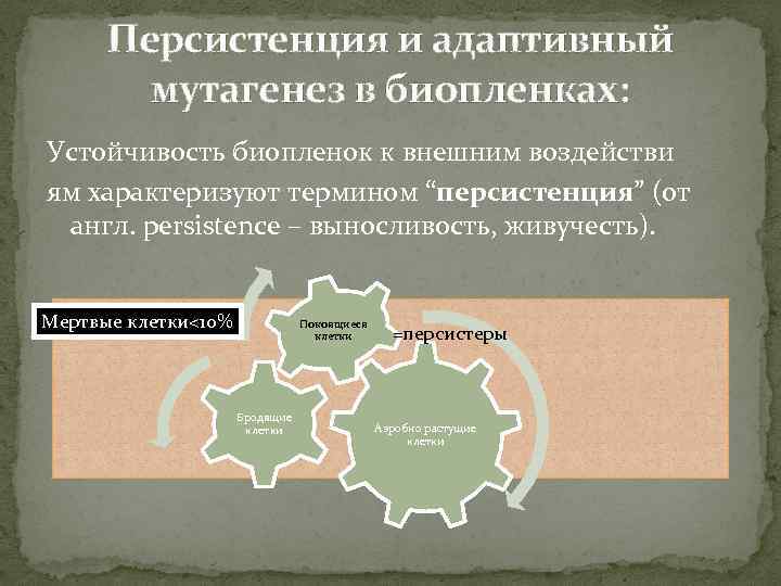 Персистенция и адаптивный мутагенез в биопленках: Устойчивость биопленок к внешним воздействи ям характеризуют термином