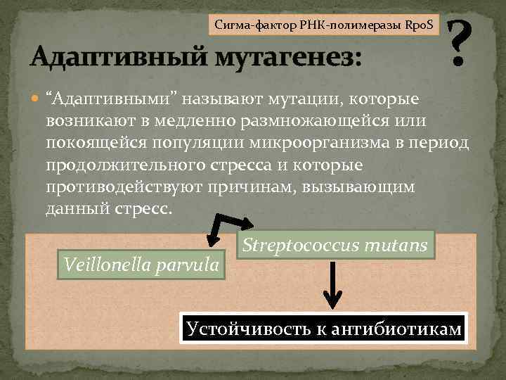 Сигма-фактор РНК-полимеразы Rpo. S Адаптивный мутагенез: ? “Адаптивными” называют мутации, которые возникают в медленно