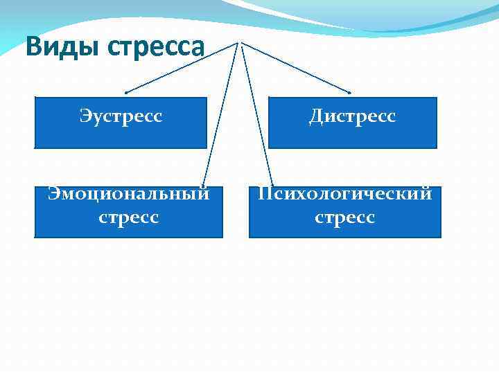 Виды стресса Эустресс Эмоциональный стресс Дистресс Психологический стресс 