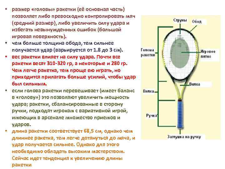  • размер «головы» ракетки (её основная часть) позволяет либо превосходно контролировать мяч (средний