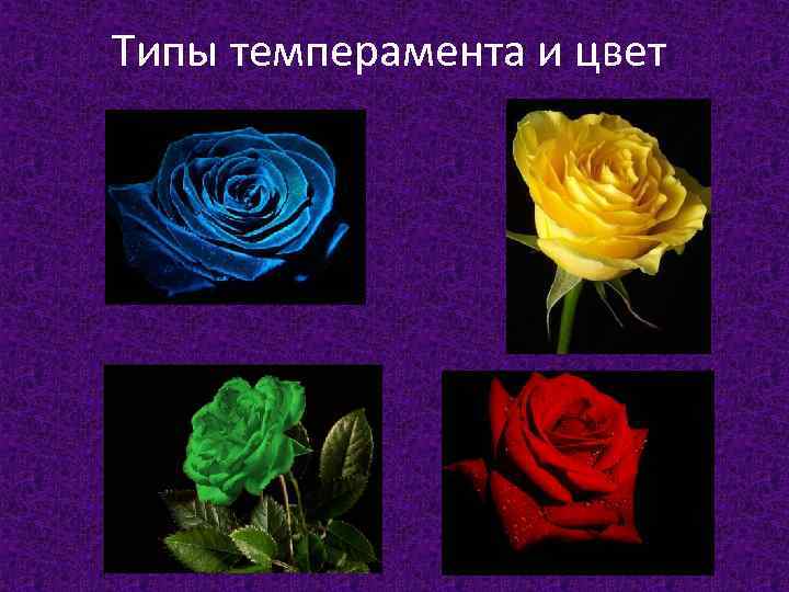 Типы темперамента и цвет 