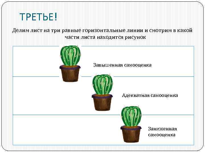 Рисунок кактус методика