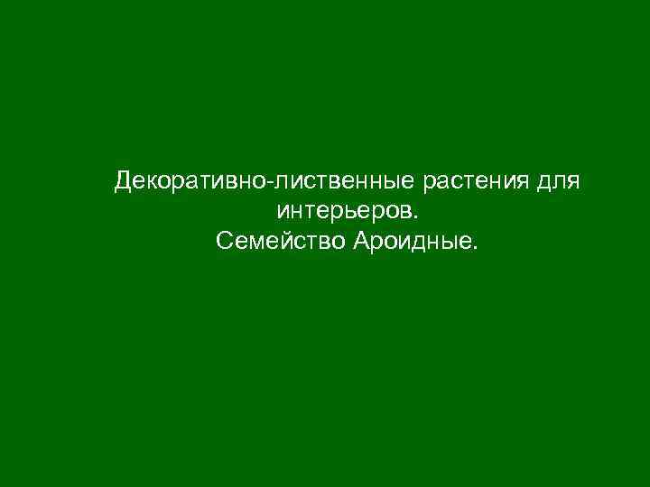 Декоративно-лиственные растения для интерьеров. Семейство Ароидные. 