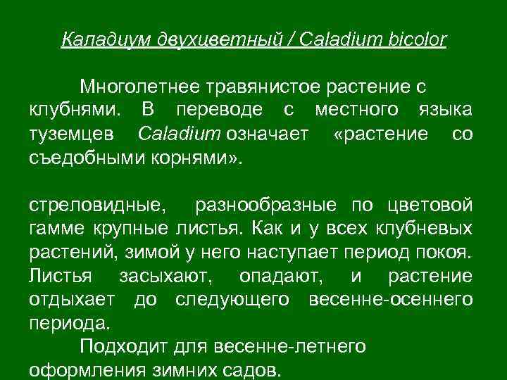 Каладиум двухцветный / Саladium bicolor Многолетнее травянистое растение с клубнями. В переводе с местного