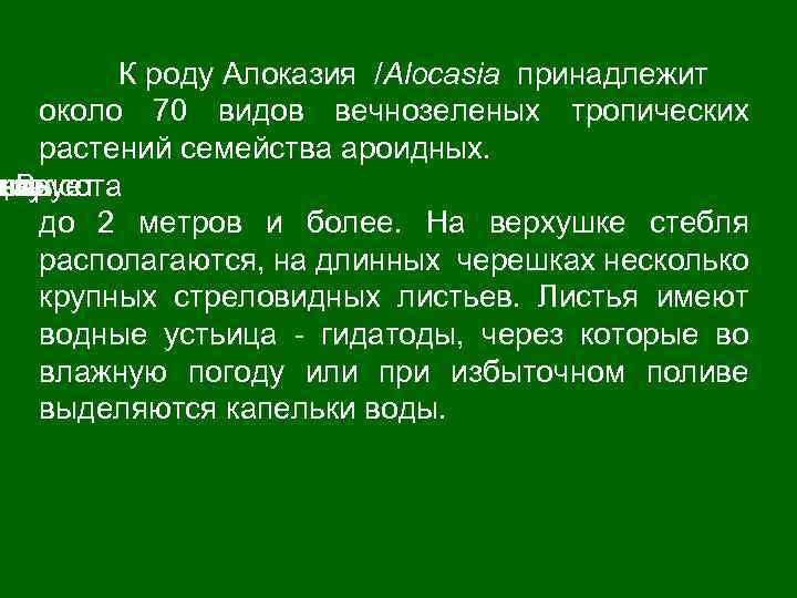 К роду Алоказия /Alocasia принадлежит около 70 видов вечнозеленых тропических растений семейства ароидных. дов