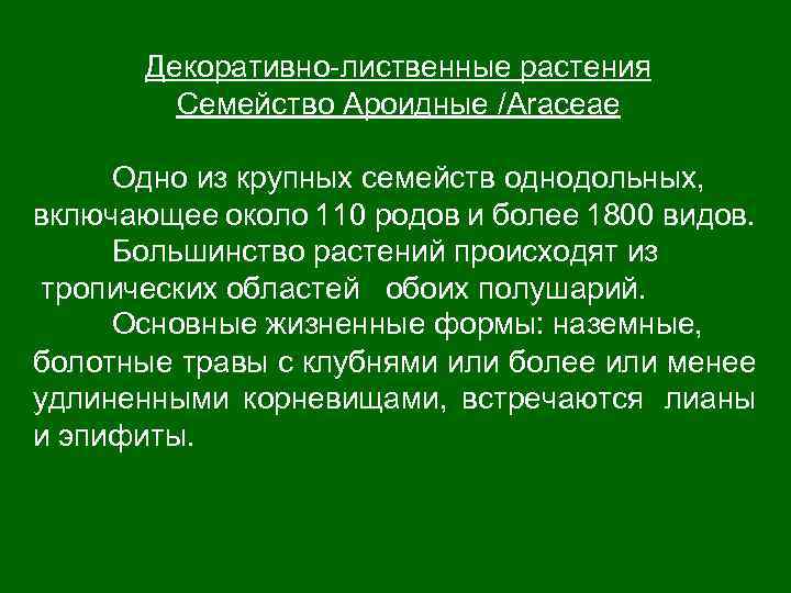 Декоративно-лиственные растения Семейство Ароидные /Araceae Одно из крупных семейств однодольных, включающее около 110 родов