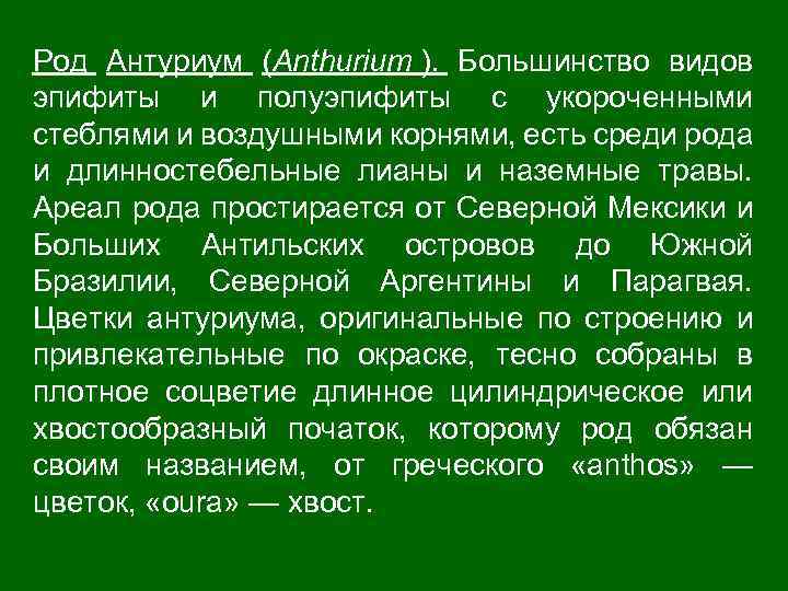 Род Антуриум (Anthurium ). Большинство видов эпифиты и полуэпифиты с укороченными стеблями и воздушными