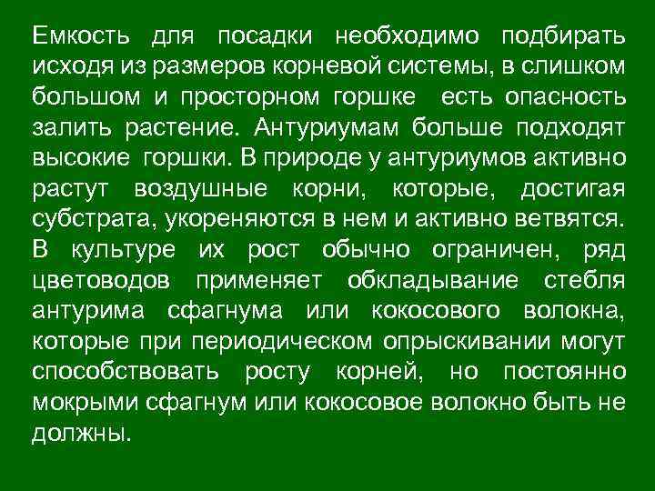 Емкость для посадки необходимо подбирать исходя из размеров корневой системы, в слишком большом и