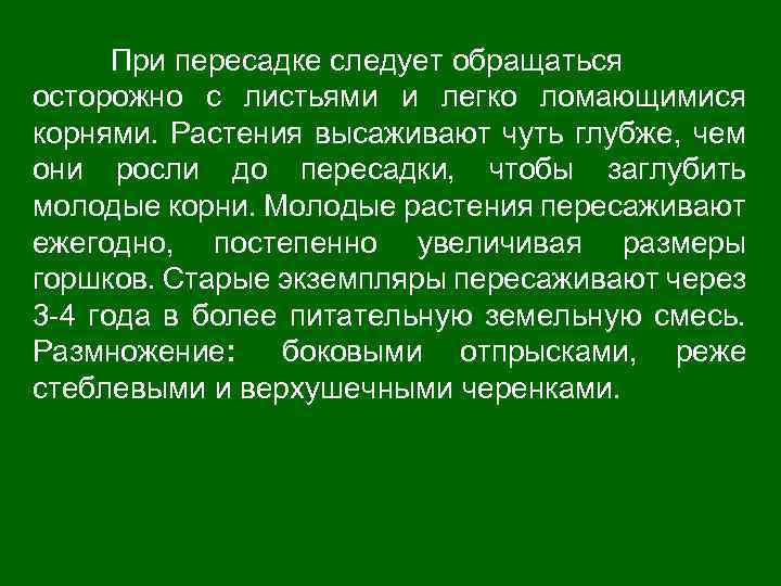 При пересадке следует обращаться осторожно с листьями и легко ломающимися корнями. Растения высаживают чуть