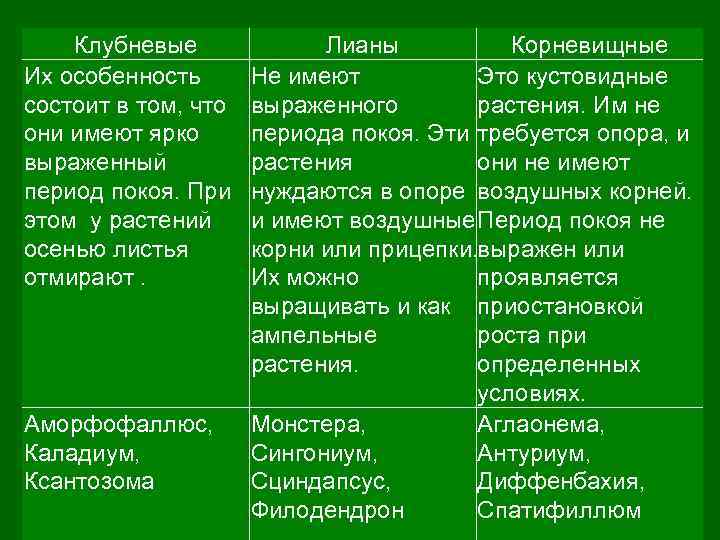 Клубневые Их особенность состоит в том, что они имеют ярко выраженный период покоя. При