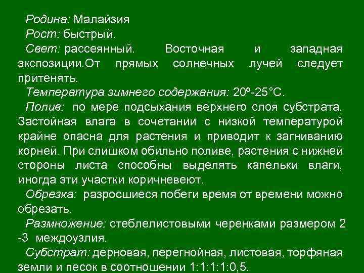 Родина: Малайзия Рост: быстрый. Свет: рассеянный. Восточная и западная экспозиции. От прямых солнечных лучей