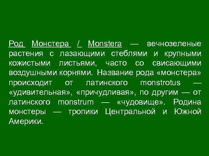 Род Монстера / Monstera — вечнозеленые растения с лазающими стеблями и крупными кожистыми листьями,