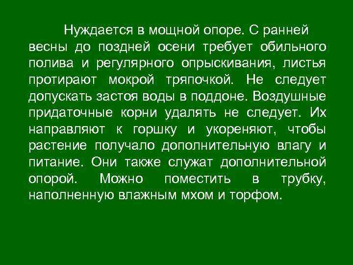 Нуждается в мощной опоре. С ранней весны до поздней осени требует обильного полива и