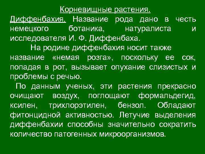 Корневищные растения. Диффенбахия. Название рода дано в честь немецкого ботаника, натуралиста и исследователя И.