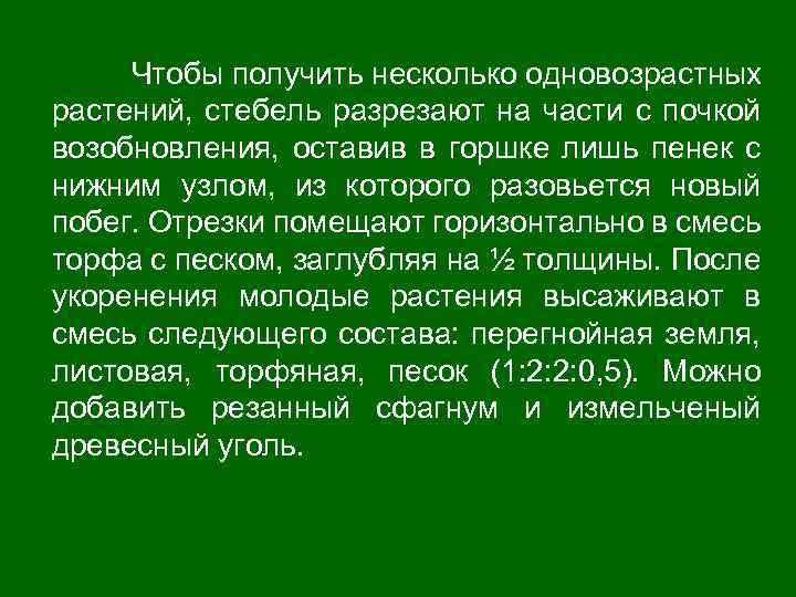 Чтобы получить несколько одновозрастных растений, стебель разрезают на части с почкой возобновления, оставив в