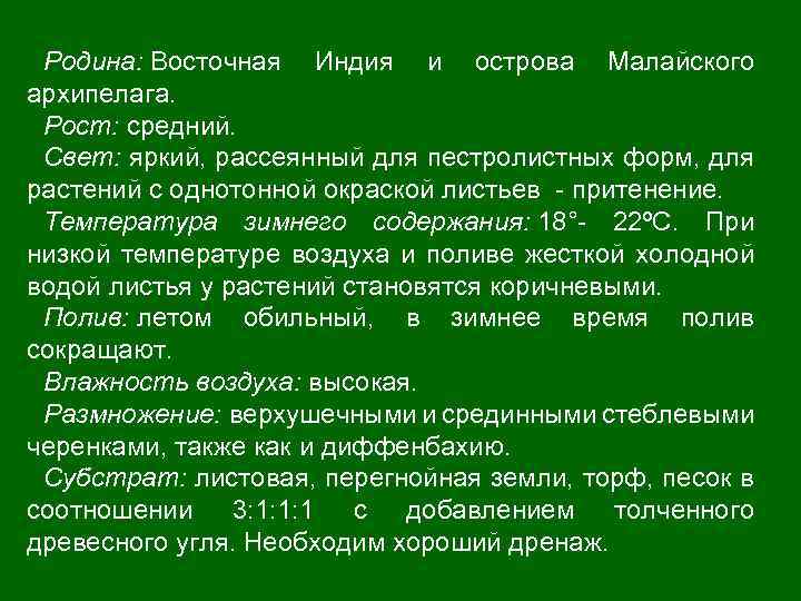 Родина: Восточная Индия и острова Малайского архипелага. Рост: средний. Свет: яркий, рассеянный для пестролистных